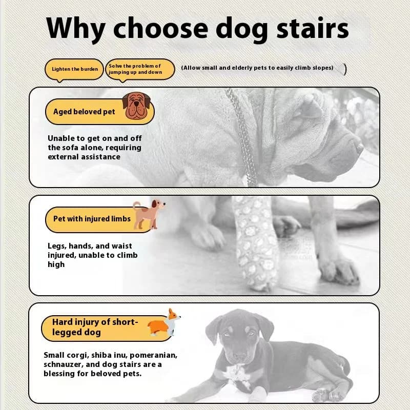 Dog Ramp Stairs For Bed Sofa