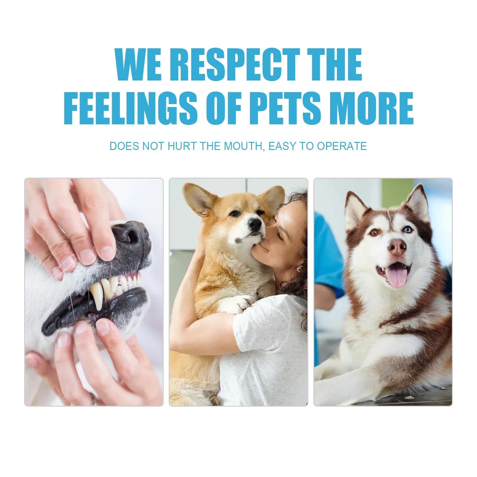 Pet Oral Care Toothpaste