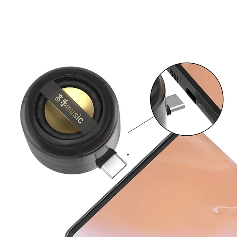 Portable Mini Wireless Speaker with USB-C and Aux