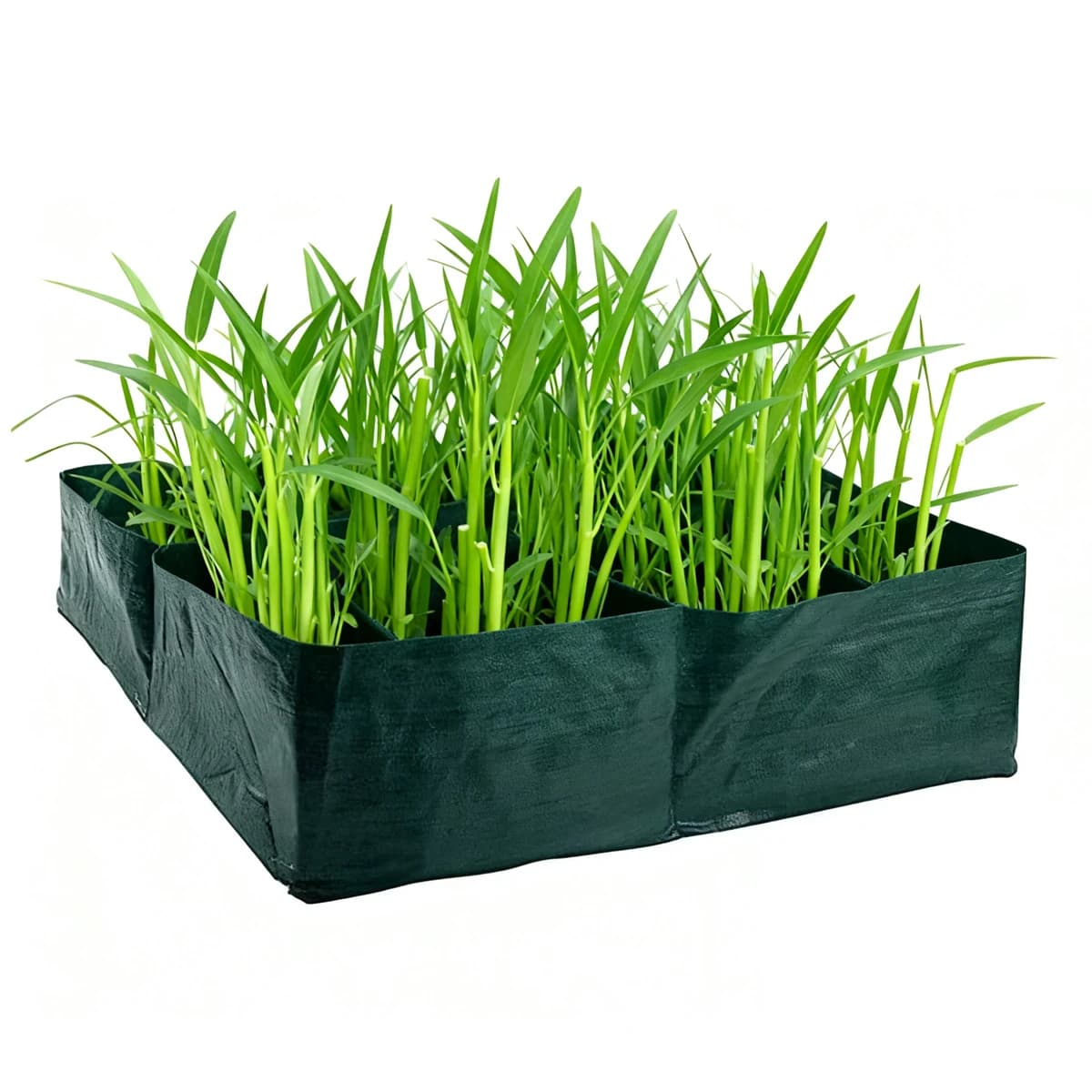 Fabric Grow Bag Planter