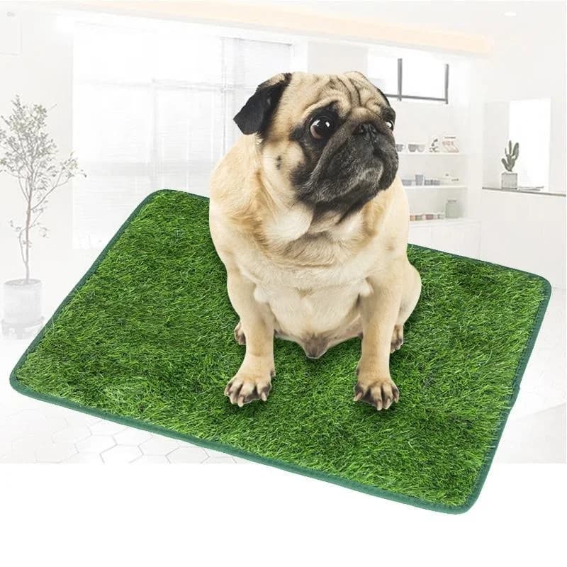 Washable Dog Grass Mat