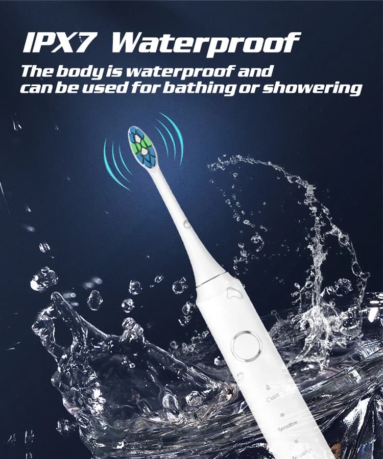 Electric Toothbrush With Six Brush Heads and Dock