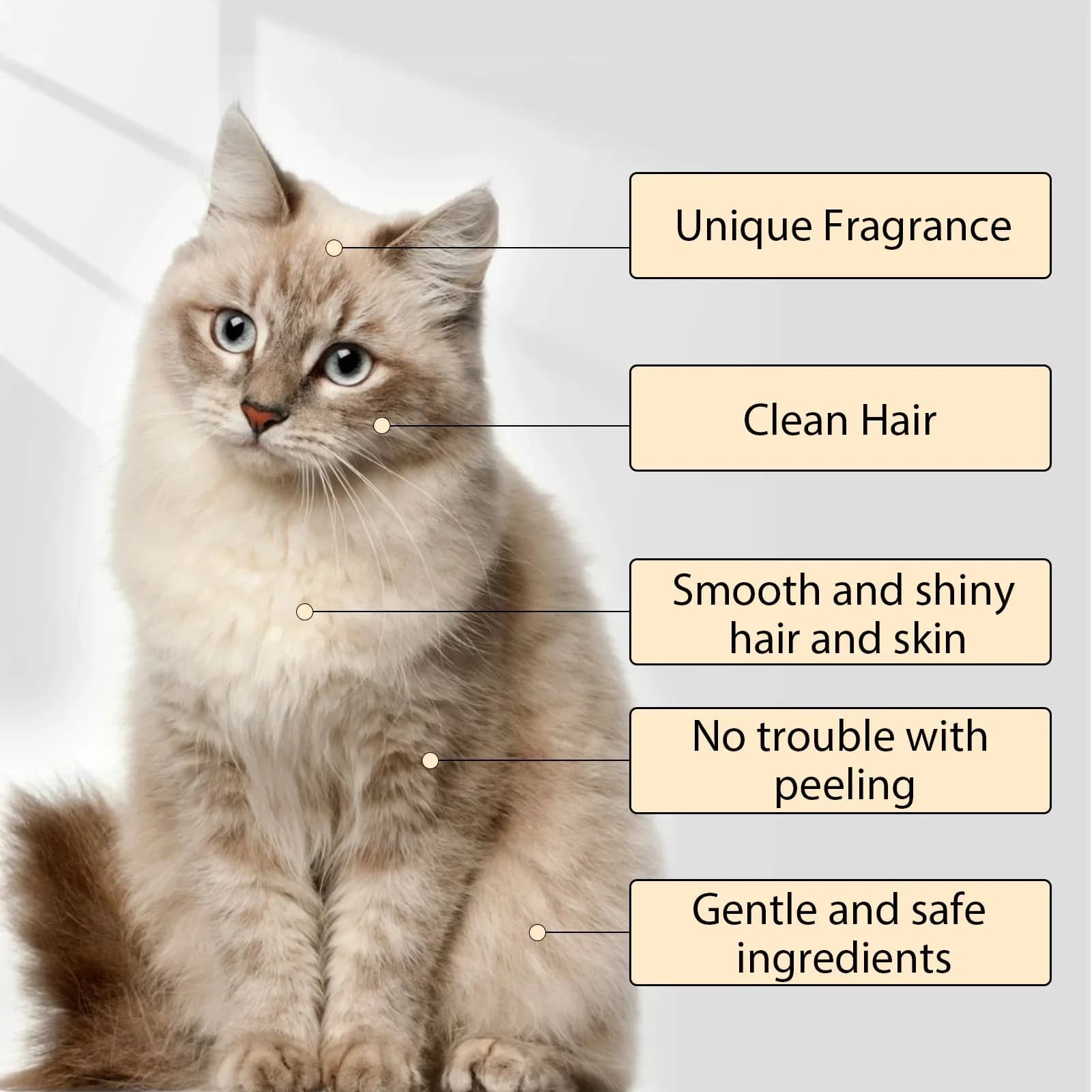 Pet Shampoo for Cats and Dogs