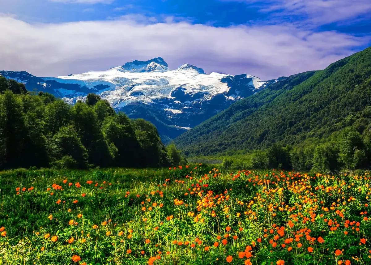 Forest Mountain Lake Landscape Canvas Print