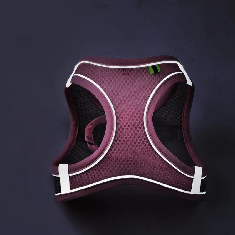 Reflective Mesh Harness and Leash Set for Cats and Small Dogs