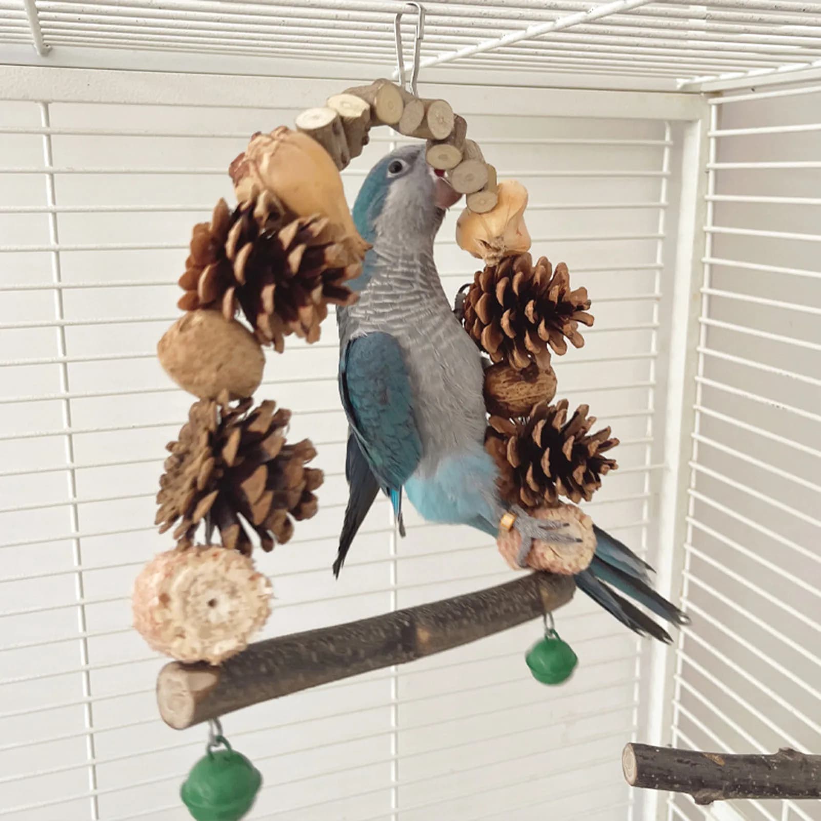 Natural Wood Parrot Perch With Swing