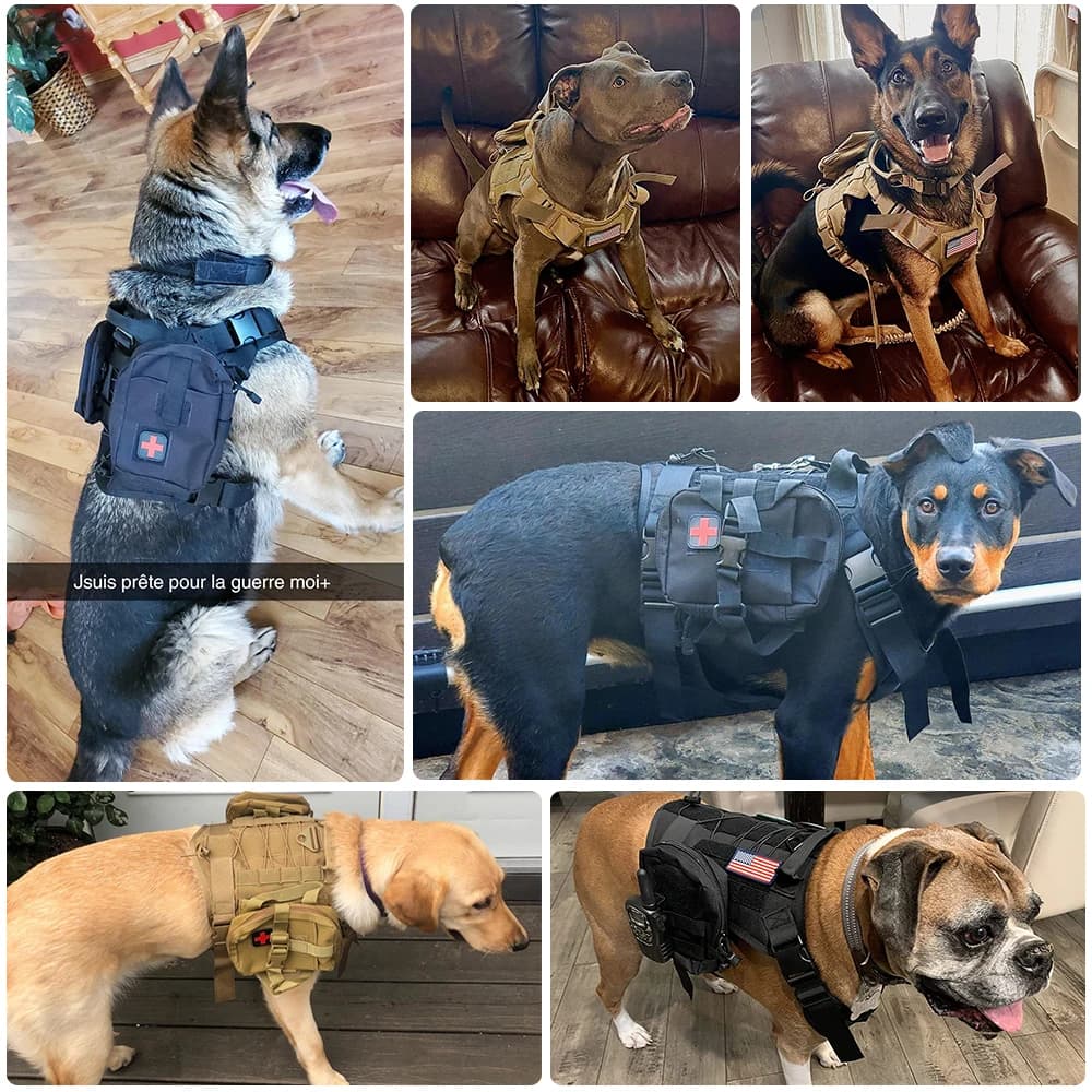 Tactical Dog Harness with MOLLE System