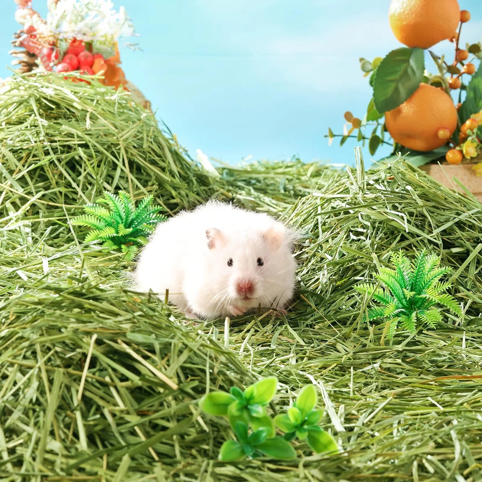 Timothy Hay Small Animal Bedding 300g