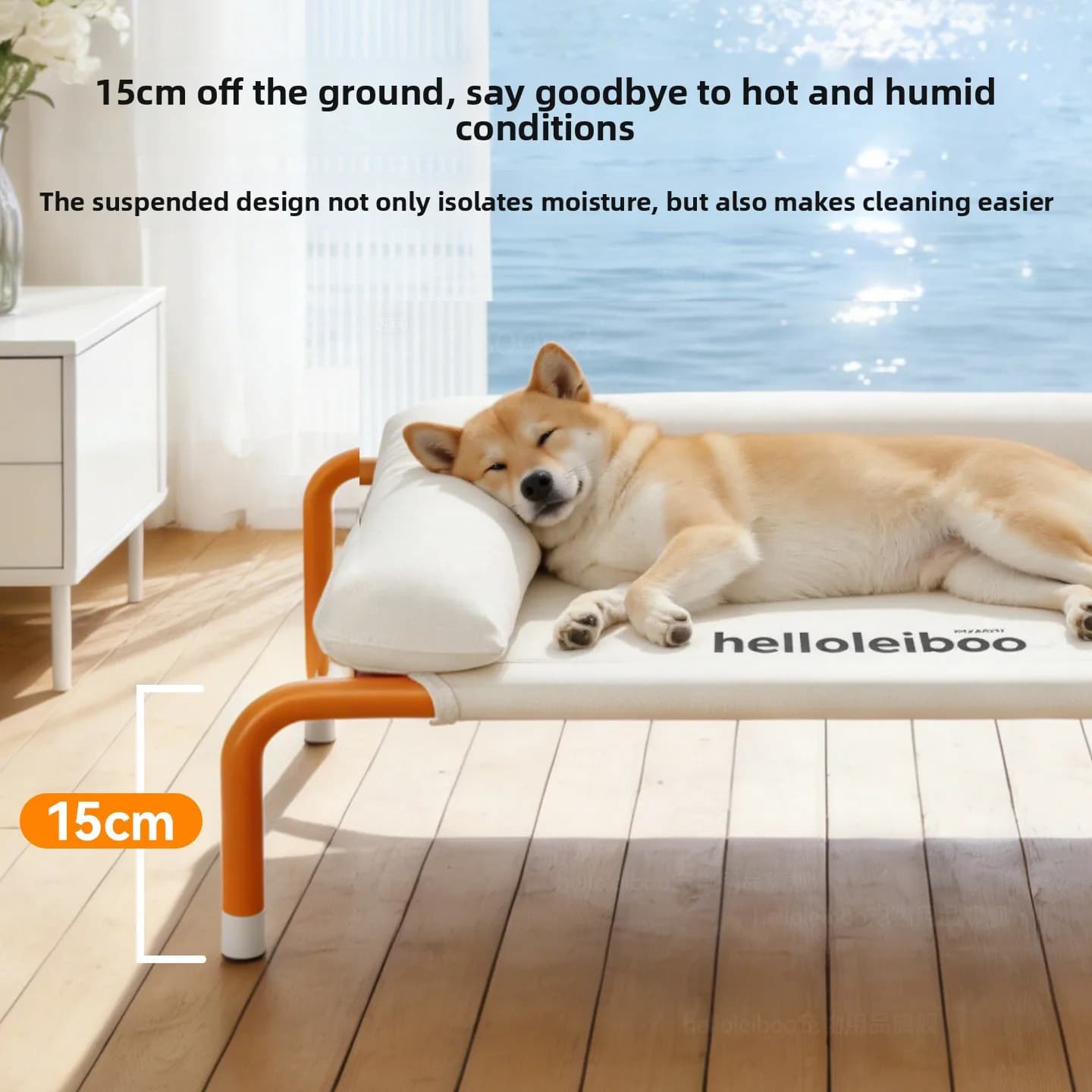 Elevated Dog Bed with Washable Cushion