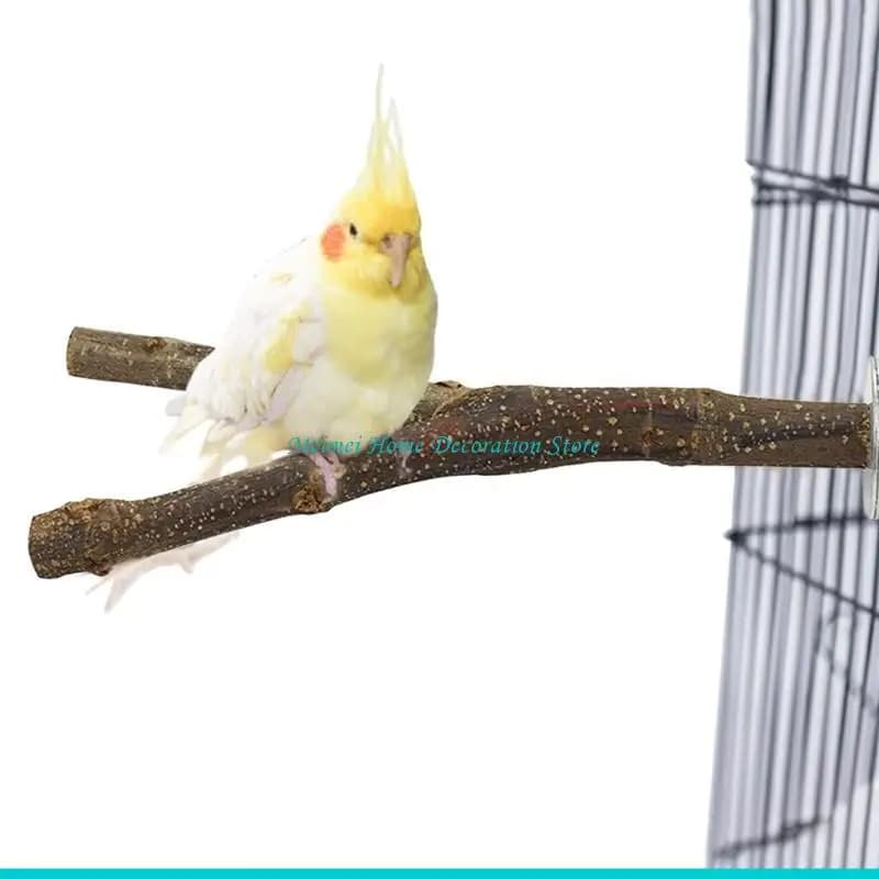 Bird Perch Climbing Ladder Play Gym Set