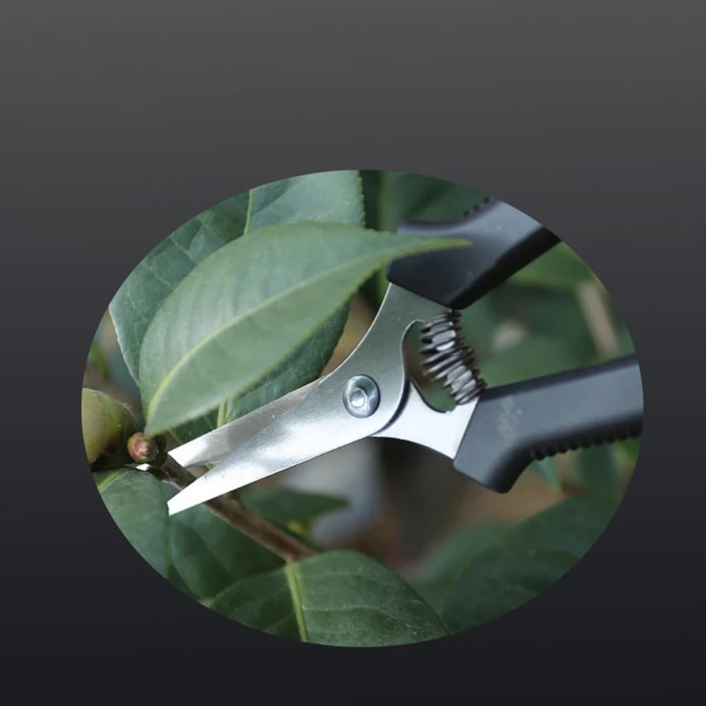Pruning Shears and Florist Scissors