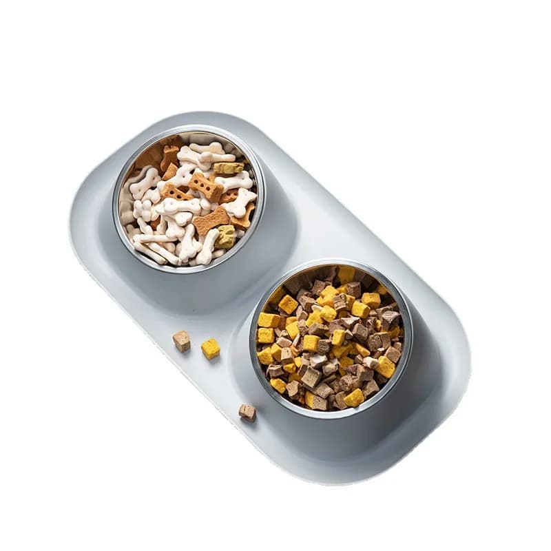Stainless Steel Raised Pet Bowl Feeder