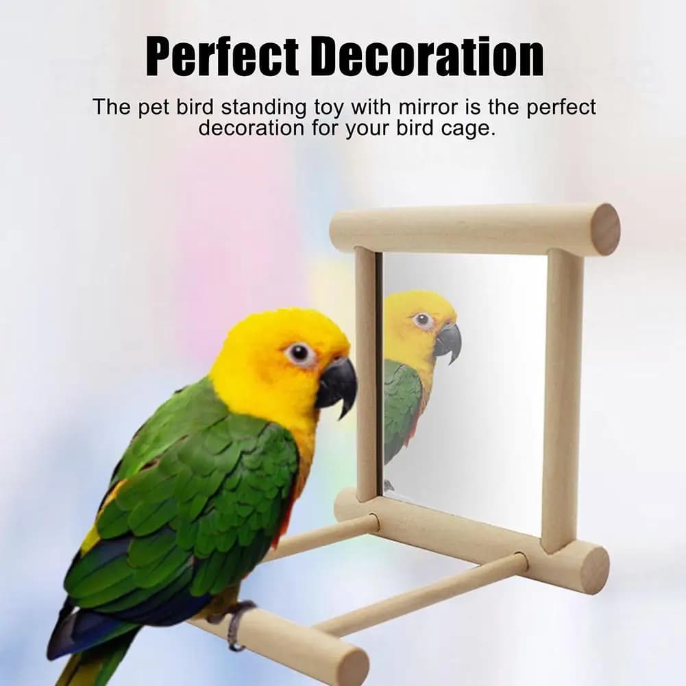 Wooden Mirror Perch Swing for Pet Birds