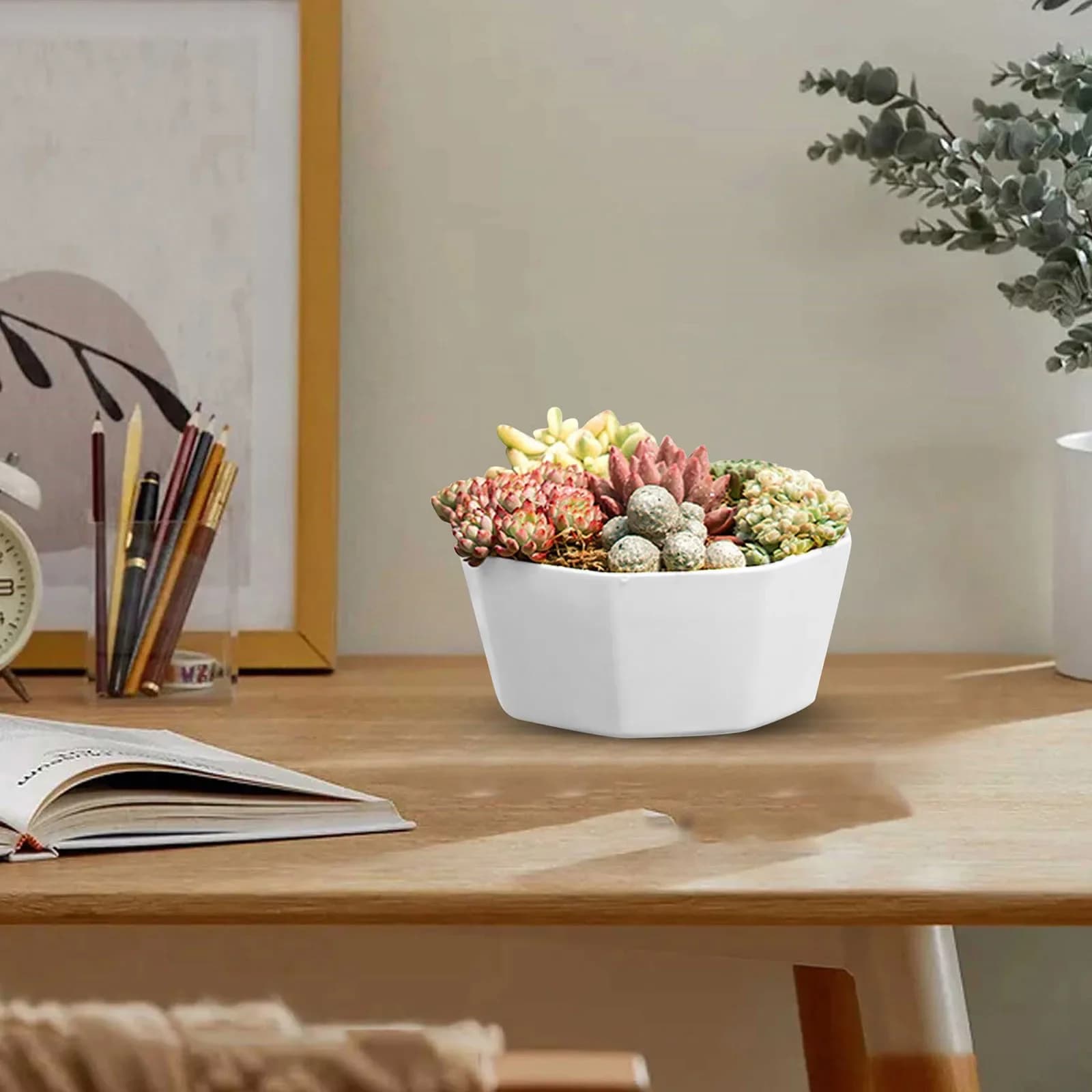 Plastic Flower Pots with Drainage and Saucers