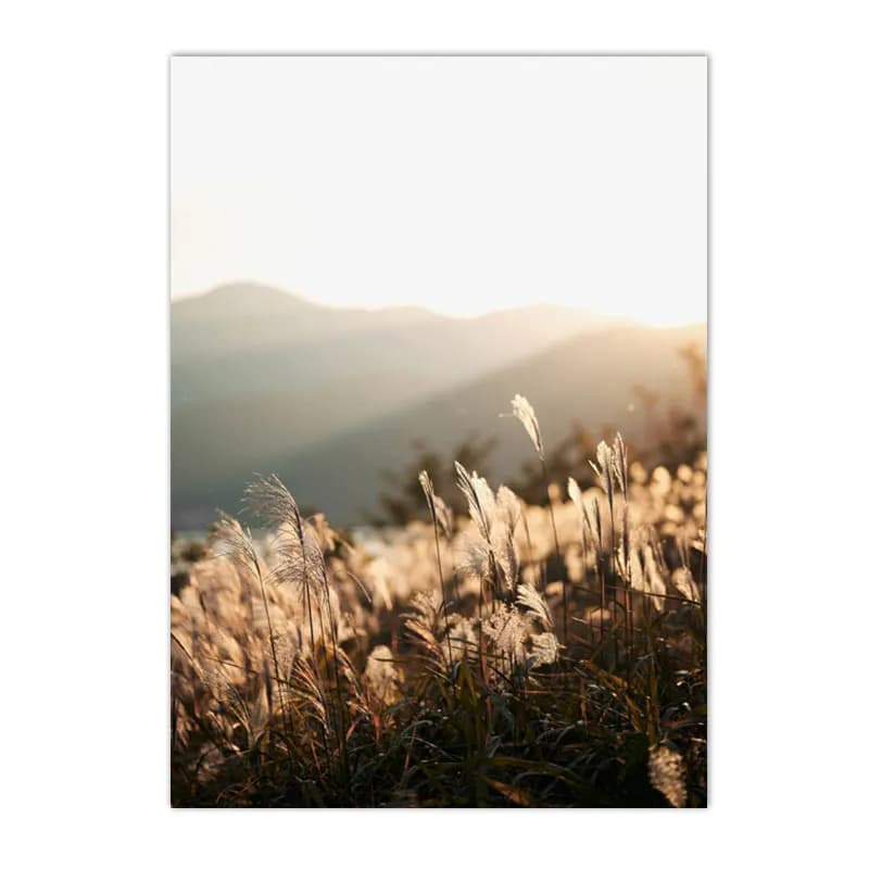 Nature Landscape Canvas Wall Art Prints
