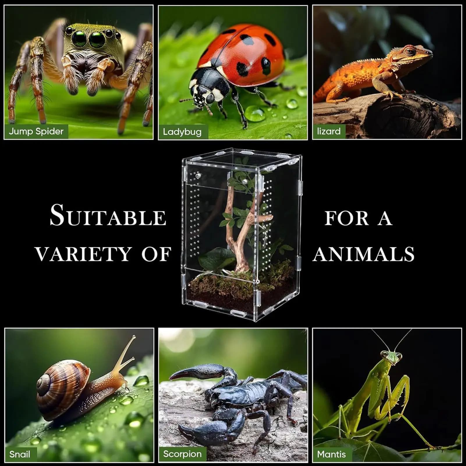 Acrylic Reptile Terrarium Enclosure Habitat