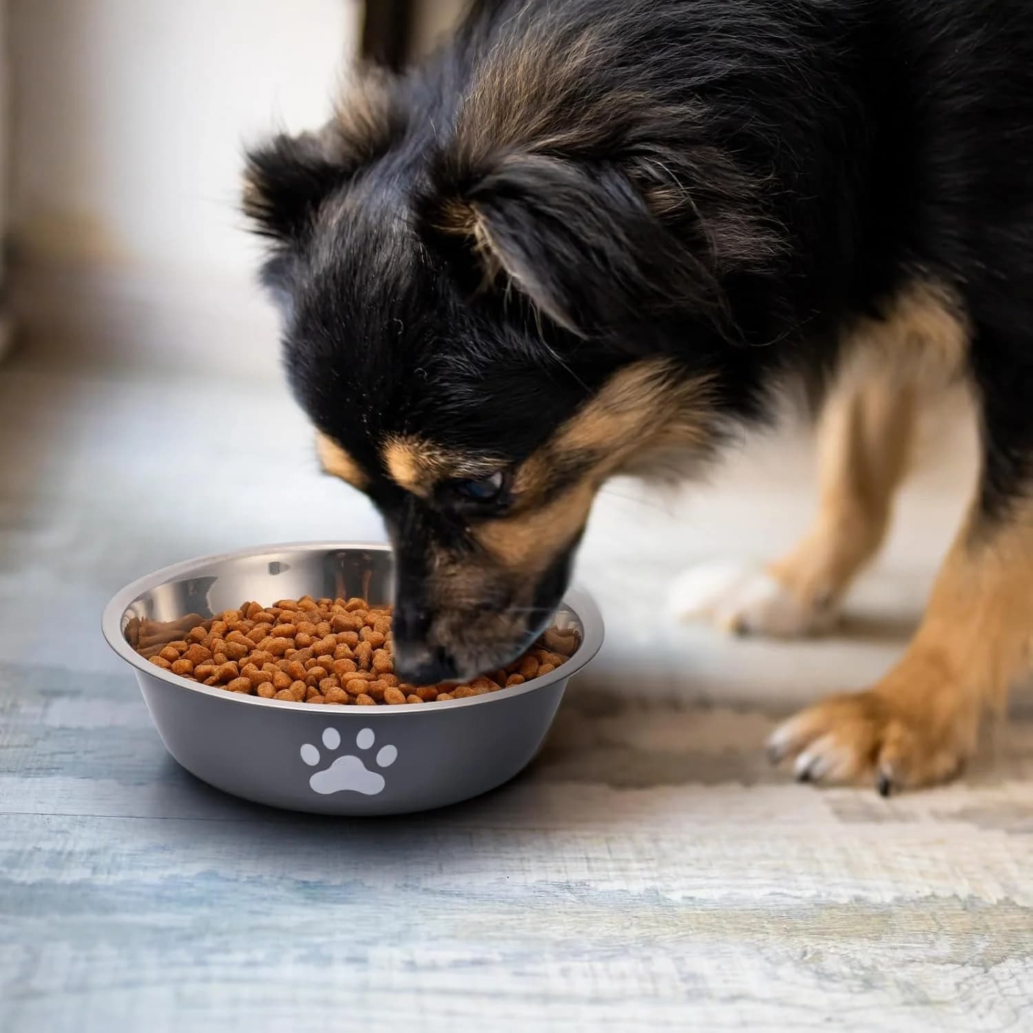 Stainless Steel Pet Feeding Bowls with Non-Slip Base