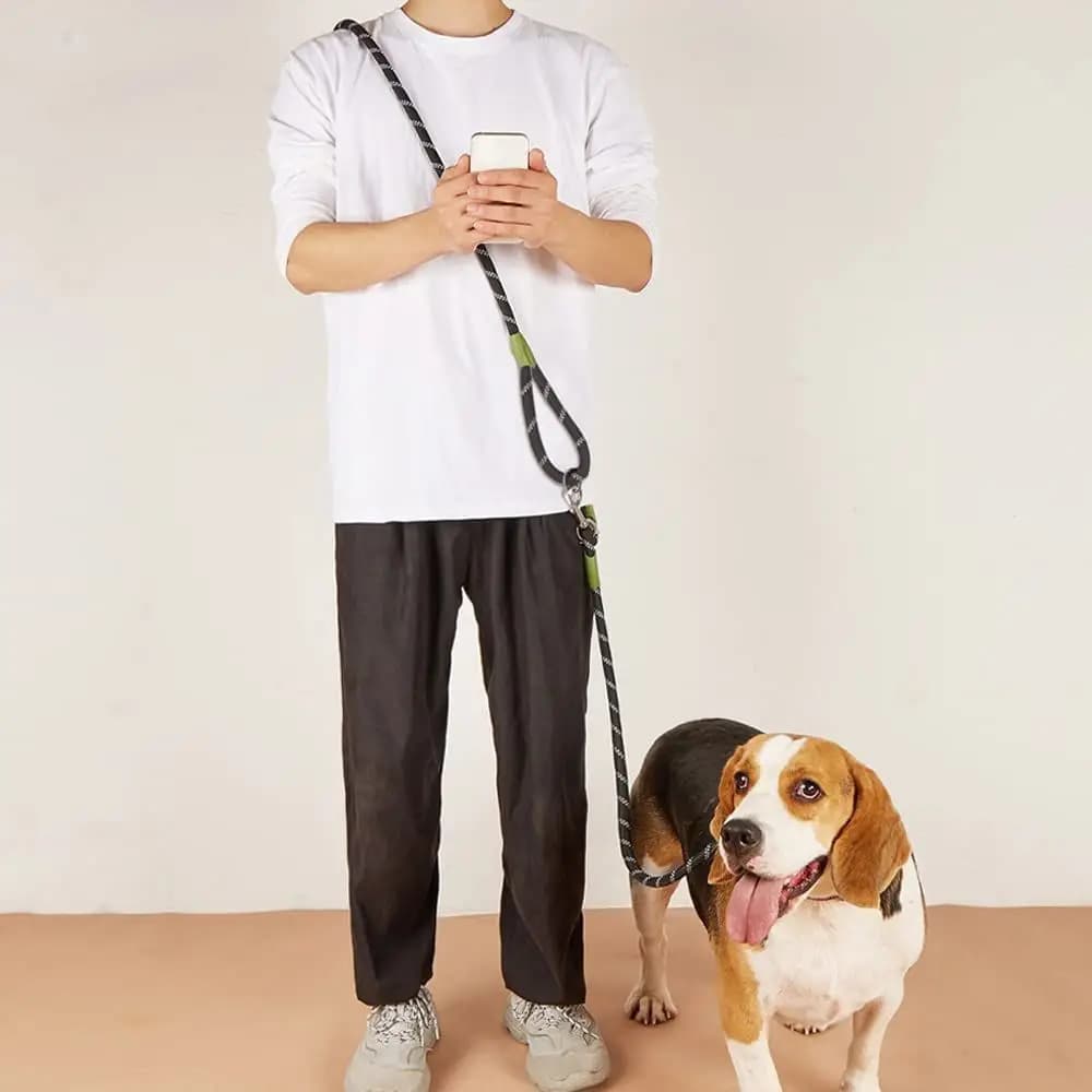 Adjustable Hands-Free Dog Leash