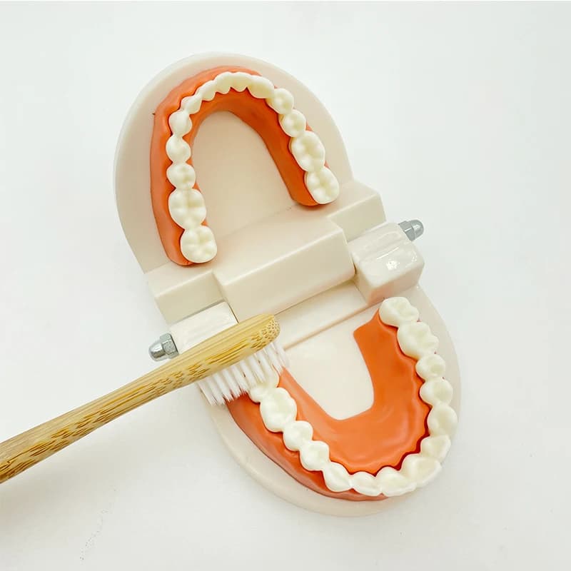 Montessori Practical Life Learning Toy Set