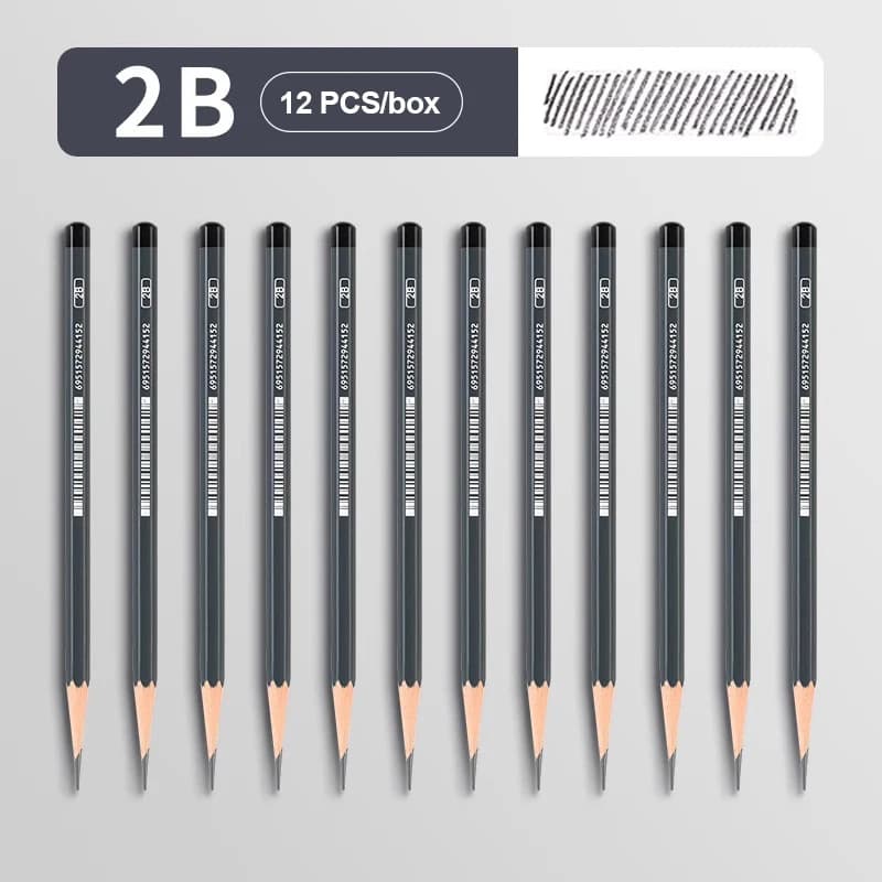 Professional Drawing Sketch Pencil Set