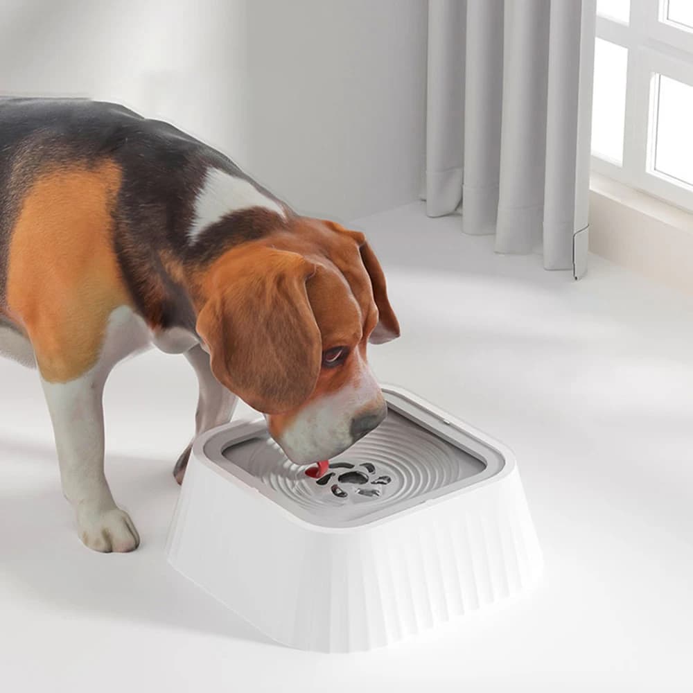 Floating Elevated Pet Water Bowl with Neck Protection