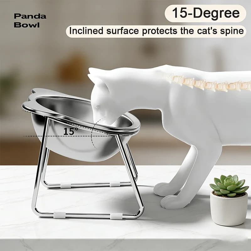 15° Tilted Stainless Steel Raised Cat Bowl