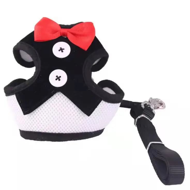 Adjustable Pet Harness with Bow Tie Leash