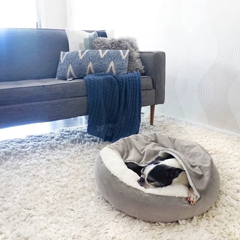 Orthopedic Dog Bed with Hooded Blanket