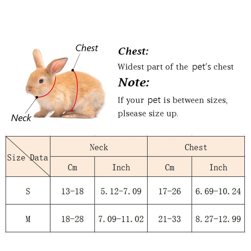 Small Animal Harness and Leash Set