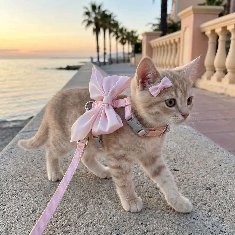 Adjustable Escape-Proof Pet Harness with Leash