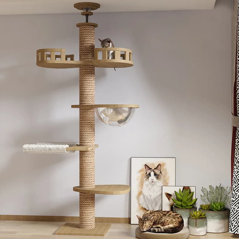 Adjustable Multi-Level Wooden Cat Climbing Frame
