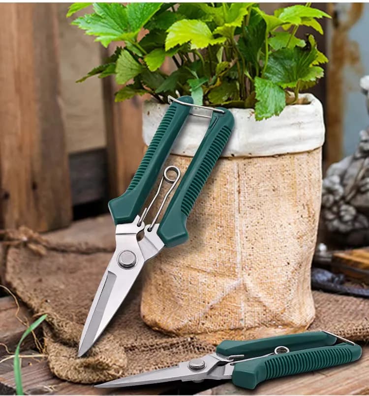 Straight Head Pruning Shears