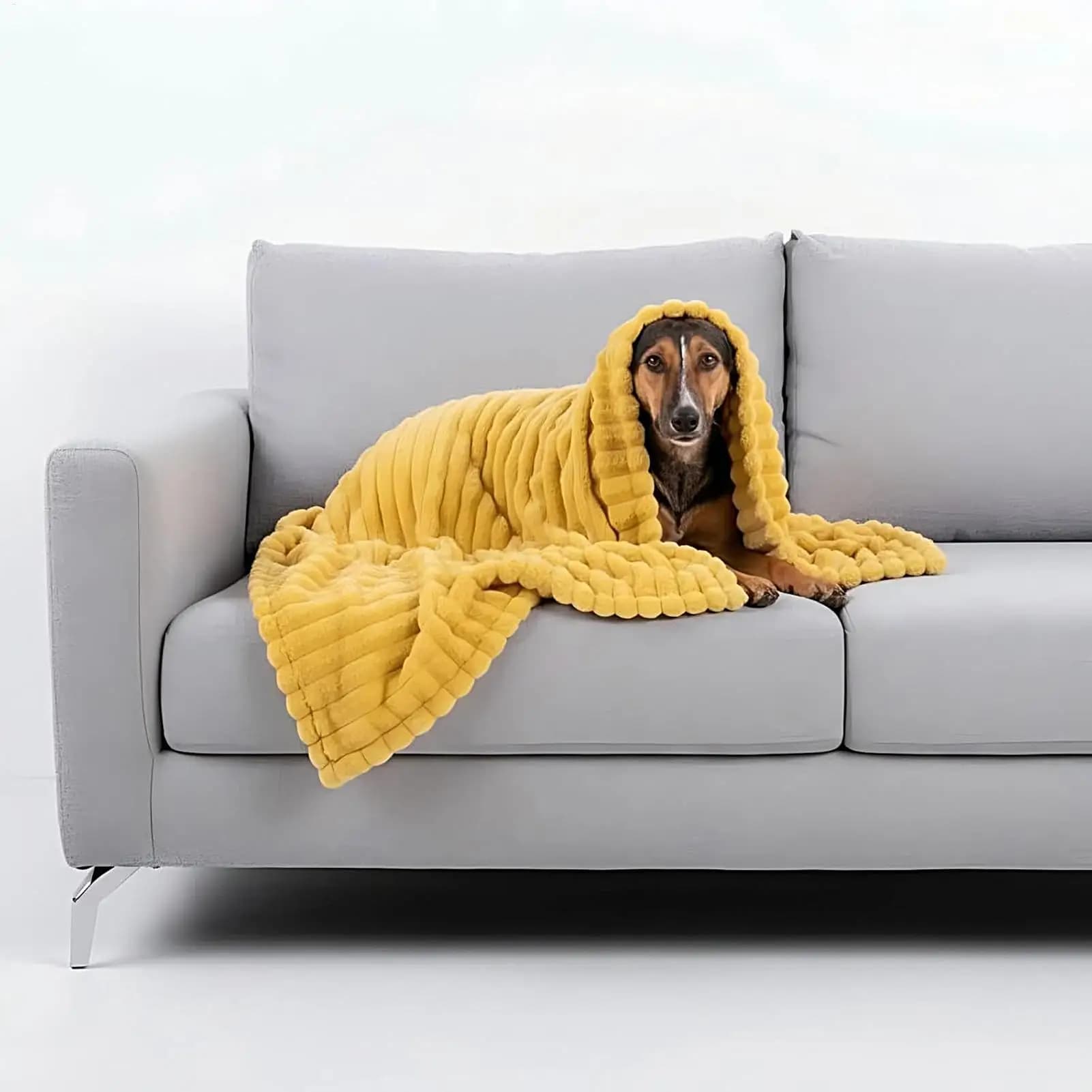 Soft Washable Pet Blanket