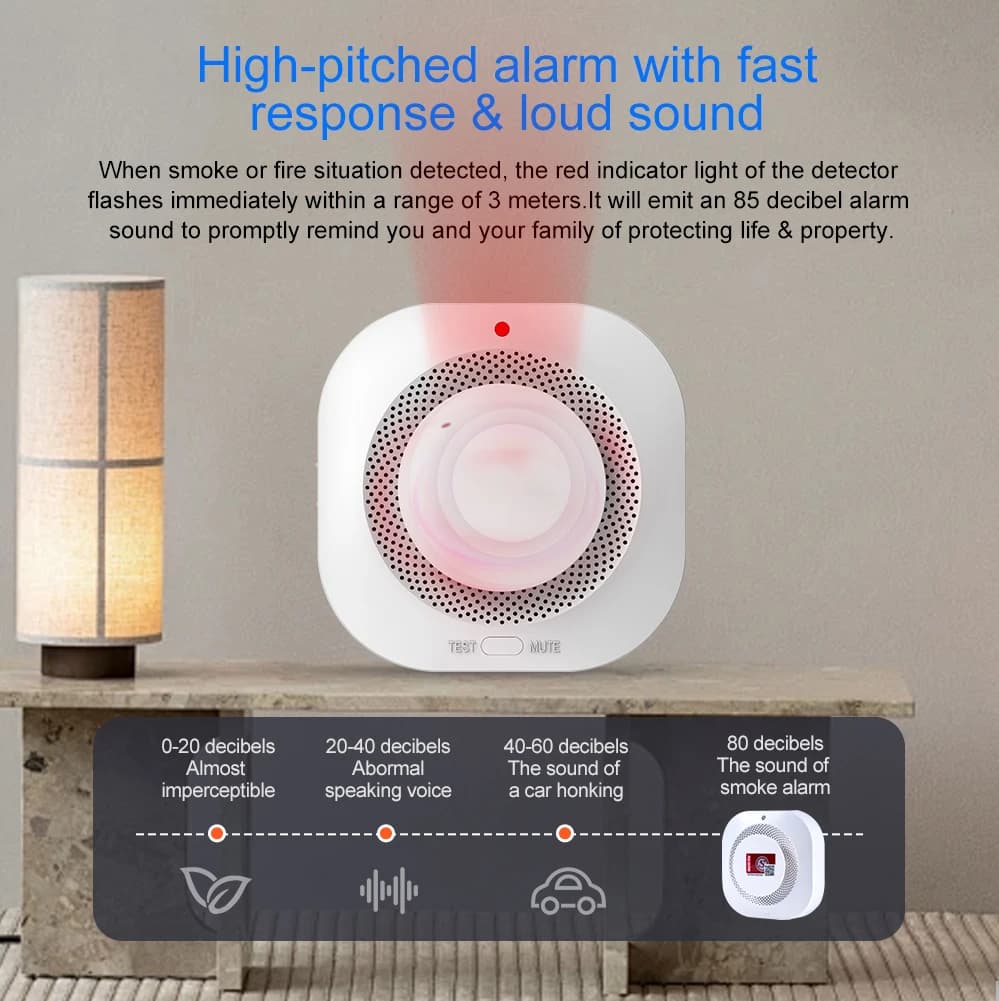 Independent Smoke Detector Alarm