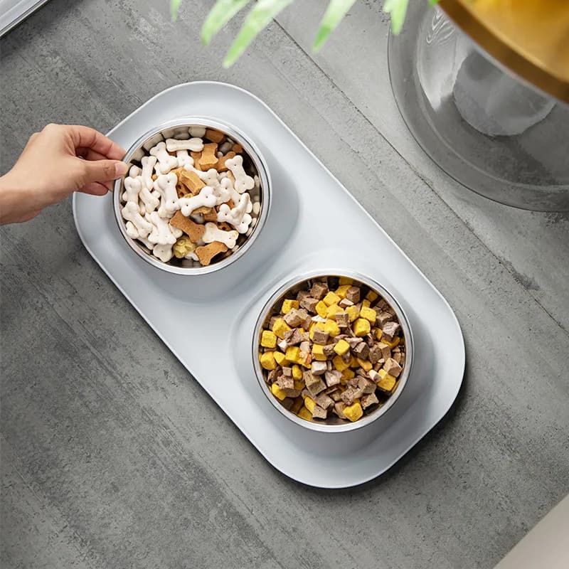 Stainless Steel Raised Pet Bowl Feeder
