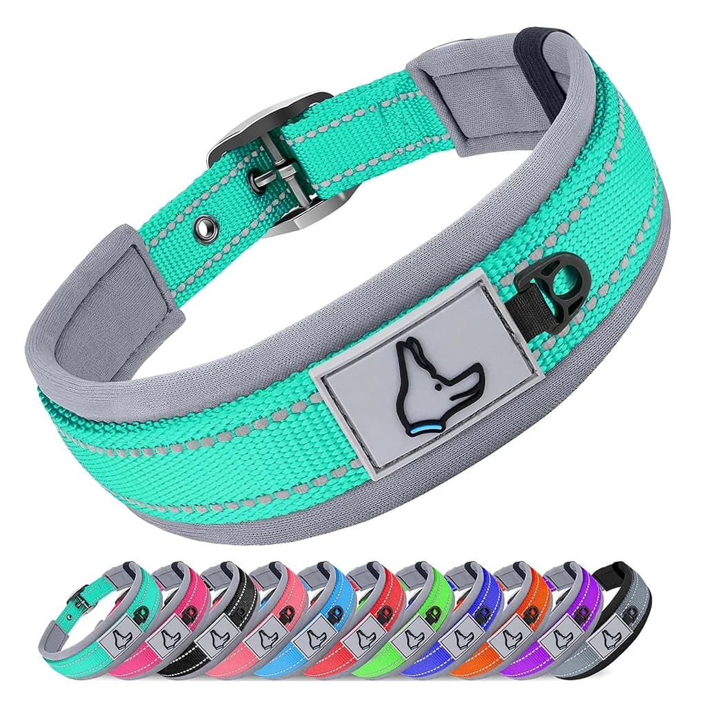 Padded Reflective Dog Collar with Metal Buckle
