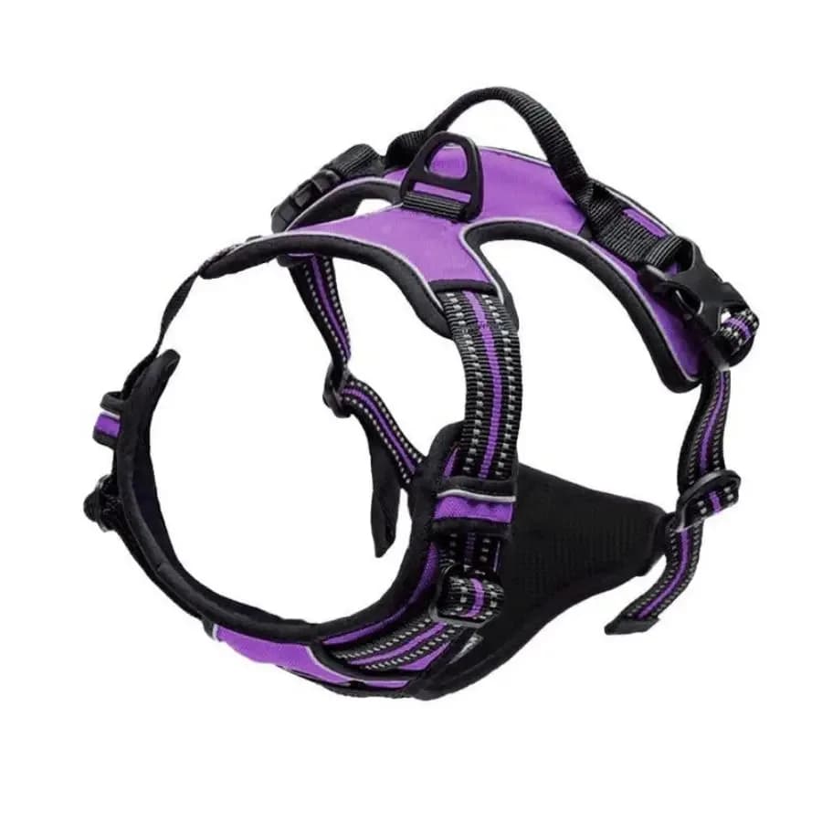 Dog Collar Harness and Leash Set