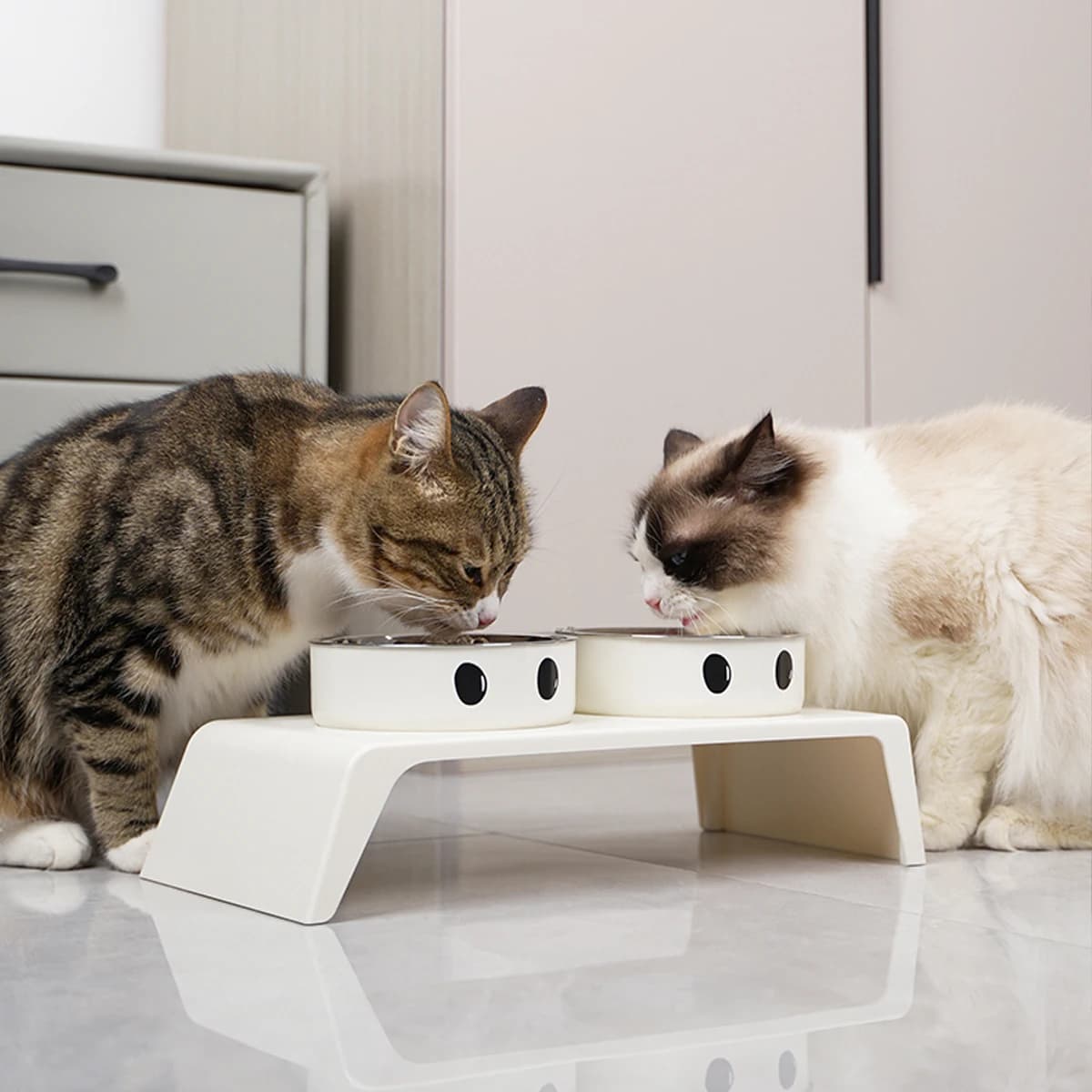 Elevated Pet Feeder Stand with Double Bowls