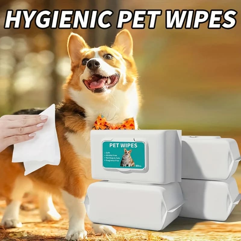 Pet Wipes for Dogs Cats, 80pcs*2 Packs, Thick Pearl Embossed Cleaning Wipes, Unscented No Alcohol, for Paws Eyes Butt