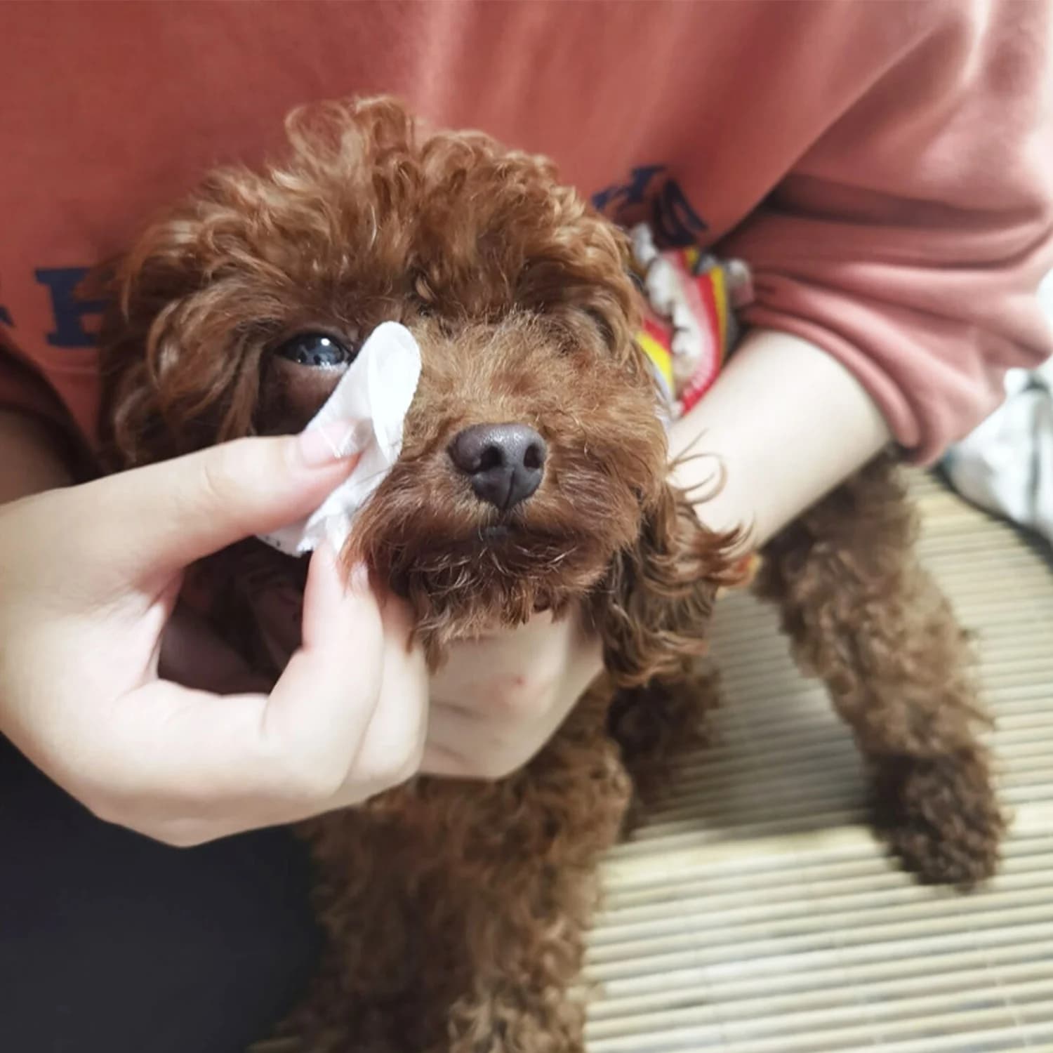 Pet Eye Wipes Gentle Reduction of Tear Stains Removes Eye Debris For All Dogs and Cats Textured Grooming Wipes Pet Cleansing Rem