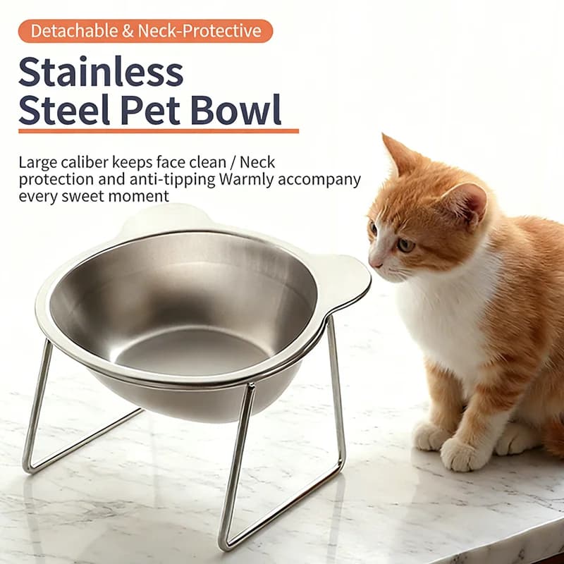 15° Tilted Stainless Steel Raised Cat Bowl