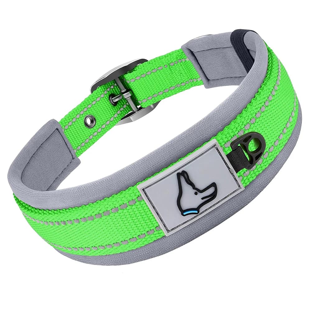 Padded Reflective Dog Collar with Metal Buckle