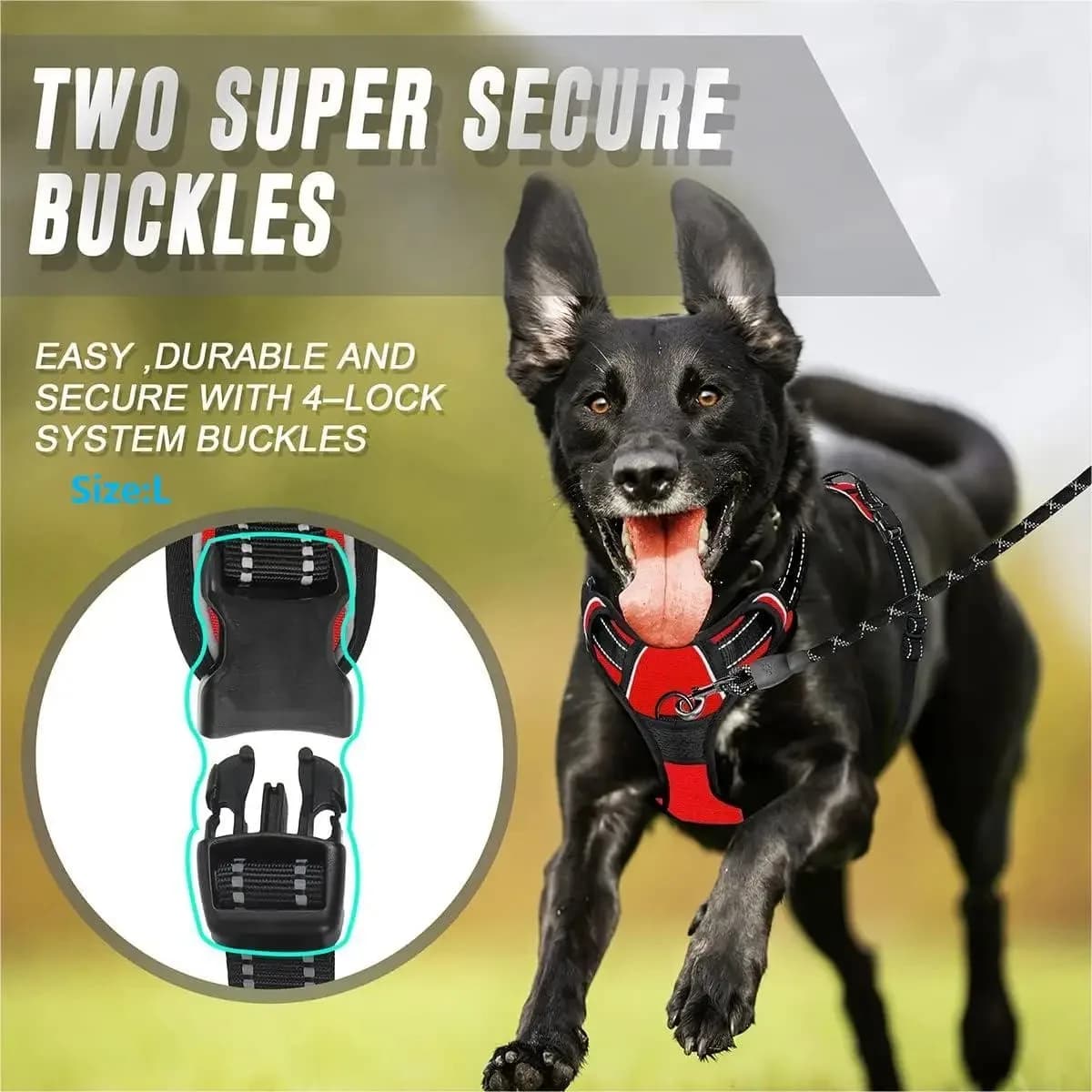 Dog Collar Harness and Leash Set