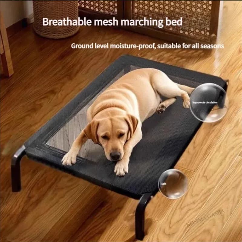 Elevated Outdoor Dog Bed with Mesh Cover