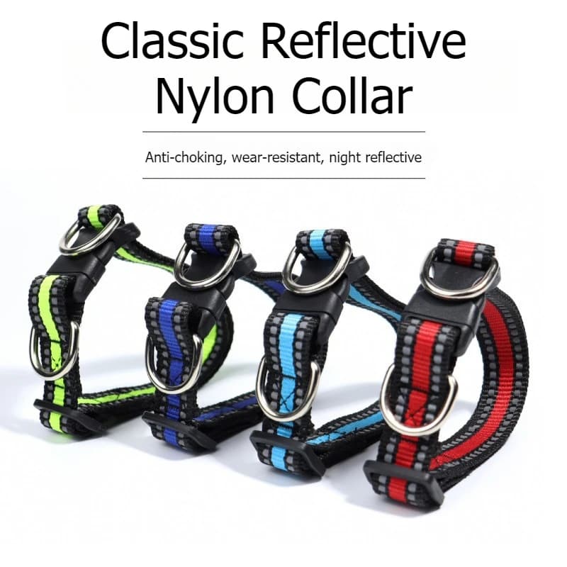Reflective Nylon Dog Collar with Double D Ring