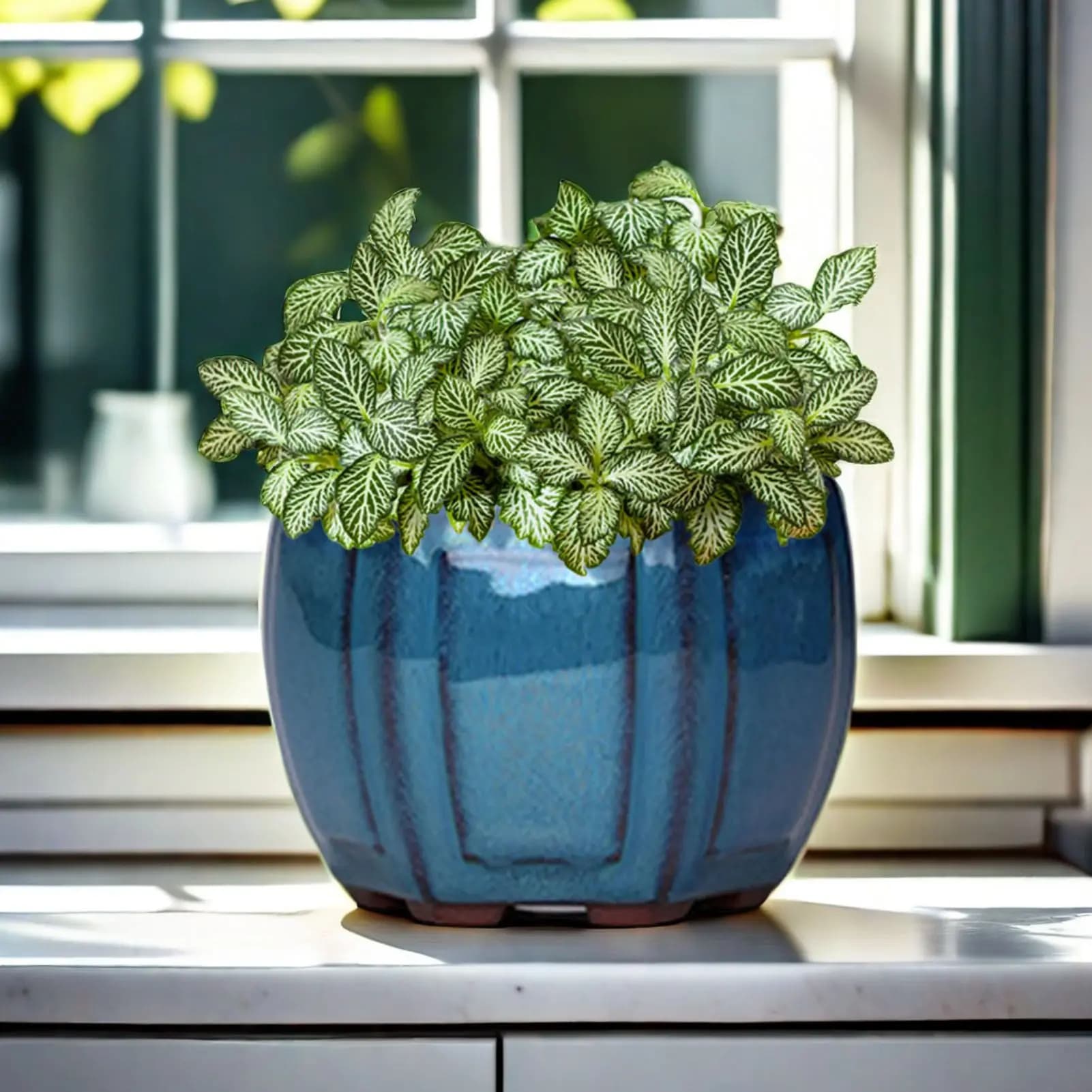 Ceramic Drainage Planter Pot