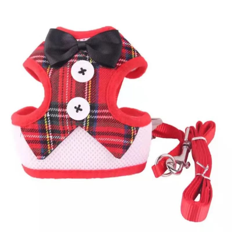 Adjustable Pet Harness with Bow Tie Leash