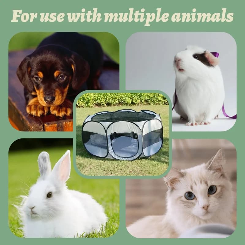 Foldable Portable Small Animal Playpen With Cover