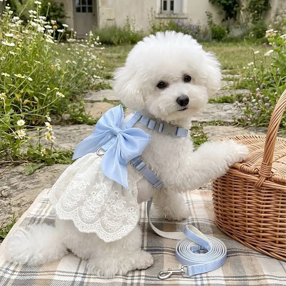 Adjustable Escape-Proof Pet Harness with Leash