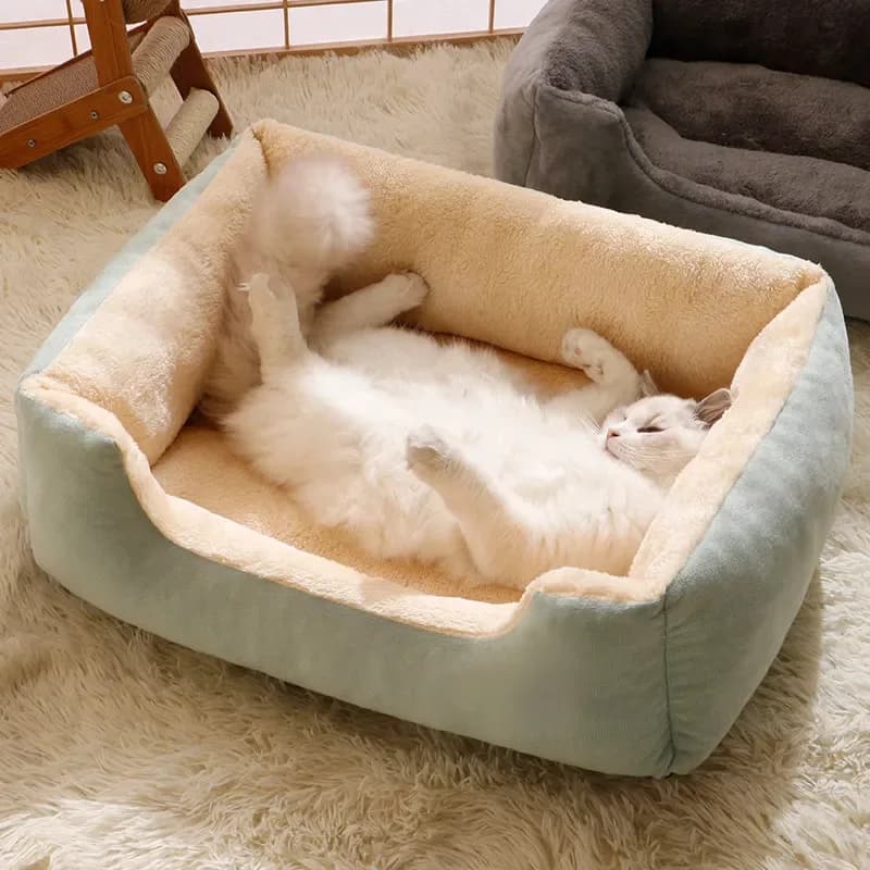 Pet Bed House with Cushion